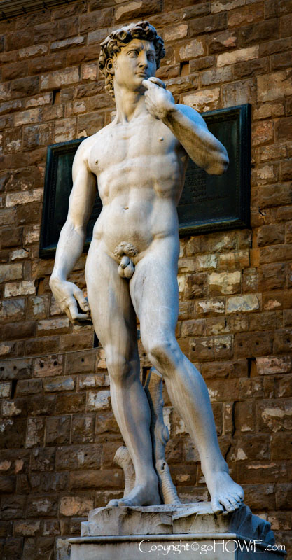 Michaelangelo's David statue, situated in the Piazza della Signoria, Florence, Italy