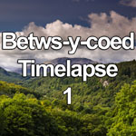 Time lapse video of clouds and sunlight over Gwydir Forest Park with mountains in the background just outside Betws-y-coed in the Snowdonia National Park, North Wales