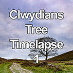 Time lapse of clouds over a tree in the Clwydian Range, North Wales