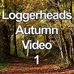 Video of woods in Autumn, Loggerheads, North Wales