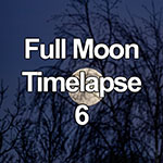 Time lapse of full moon rising behind tree branches