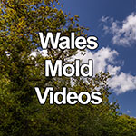 Videos featuring Mold and Buckley, Wales