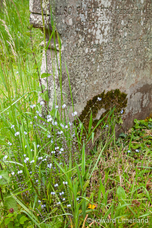 Grave in Llantysilio chuchyard, Wales