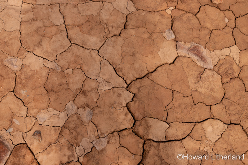 Dry ground in drought conditions with cracks