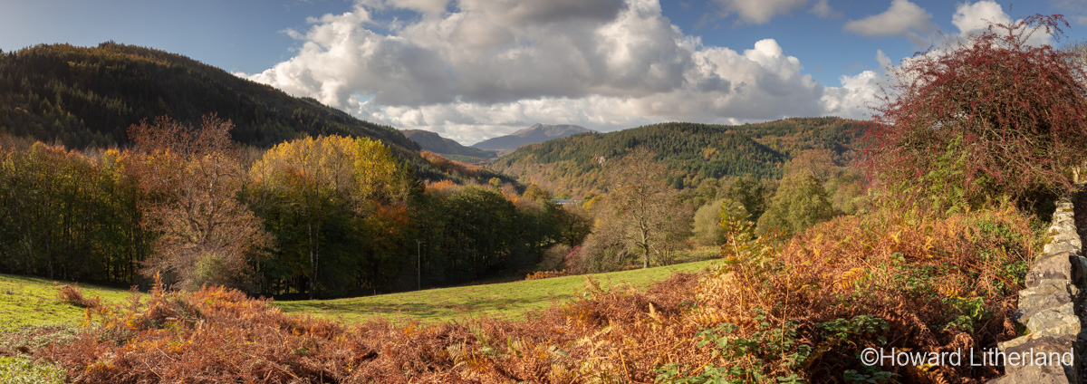 Panoramic view of the Gwydyr Forest in Snowdonia, North Wales, in autumn colours