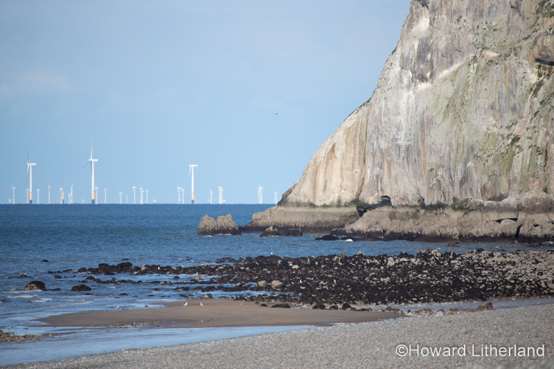 Gwynt-y-Môr offshore windfarm from Llandudno, North Wales