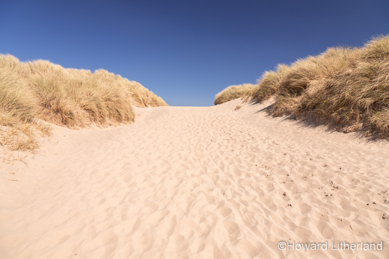 Sand dunes at Harlech beach, Gwynedd, Wales