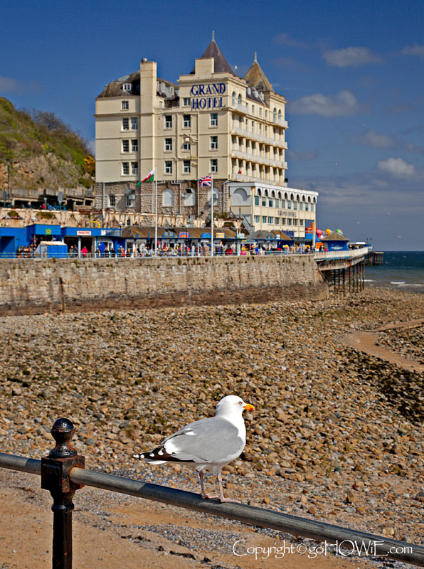 Hotel and seagull, Llandudno, North Wales
