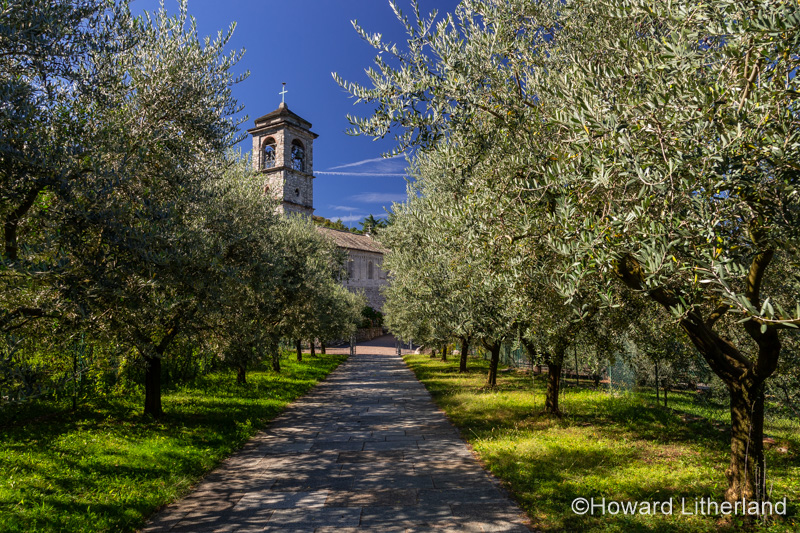 Olive groves at the Monastary of Santa Maria di Piona on the shores of Lake Como in northern Italy
