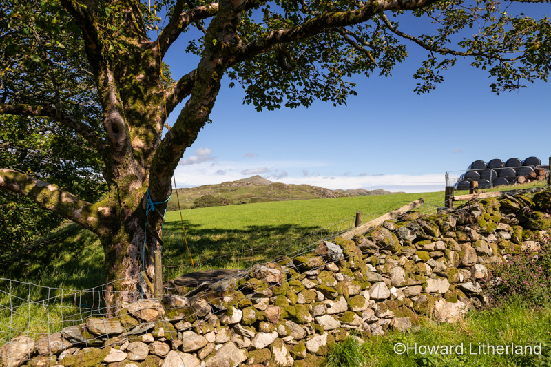 Drystone wall at Eskdale in the Lake District, Cumbria, England