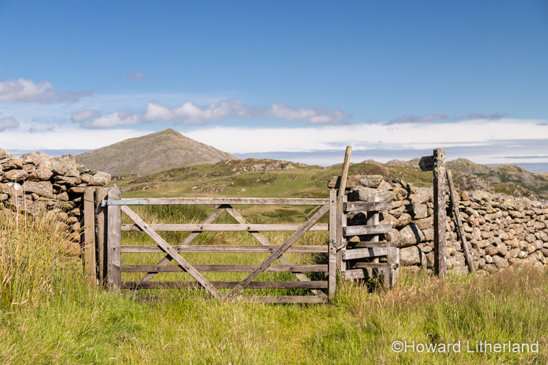 Drystone wall at Eskdale in the Lake District, Cumbria, England
