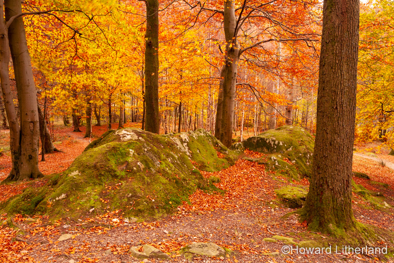 Lake District in autumn colours at Grasmere