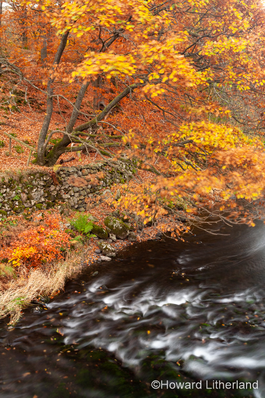 Lake District in autumn colours at Grasmere