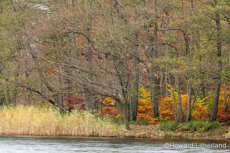 Lake District in autumn colours at Grasmere