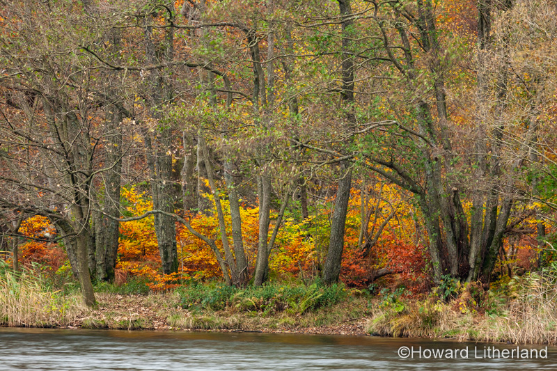 Lake District in autumn colours at Grasmere