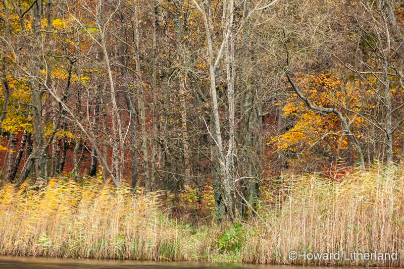 Lake District in autumn colours at Grasmere