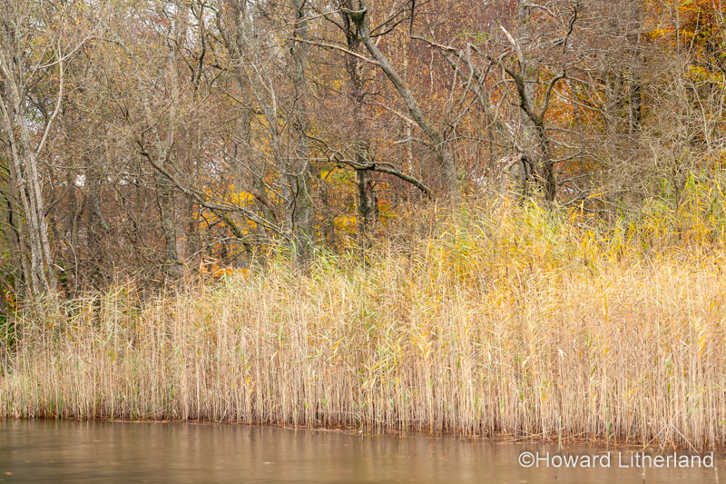 Lake District in autumn colours at Grasmere