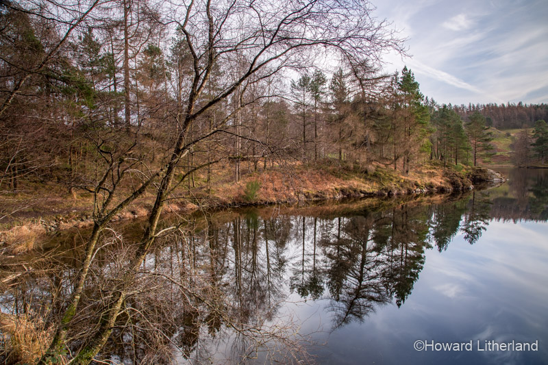 Trees in autumnal colours reflecting in the waters of Tarn Hows in the Lake District, Cumbria, England