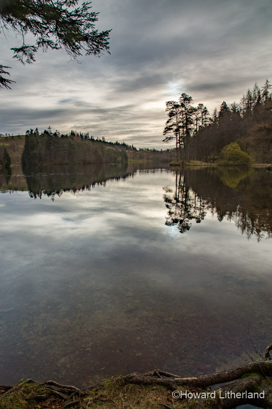 Trees in autumnal colours reflecting in the waters of Tarn Hows under cloudy skies in the Lake District, Cumbria, England