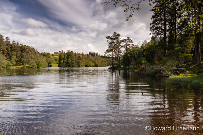 Tarn Hows lake in the Lake District, England