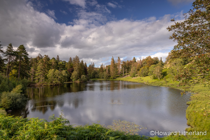 Tarn Hows lake in the Lake District, England