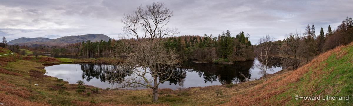 Panoramic image of the lake and woodland at Tarn Hows in the Lake District, Cumbria, England