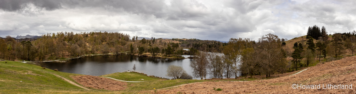 Panoramic view of Tarn Hows lake in the Lake District, Cumbria, England