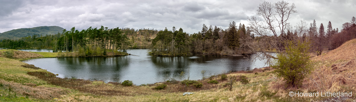 Panoramic view of Tarn Hows lake in the Lake District, Cumbria, England