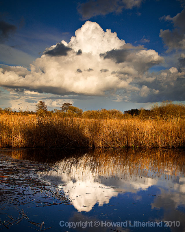 Lake with reeds and clouds