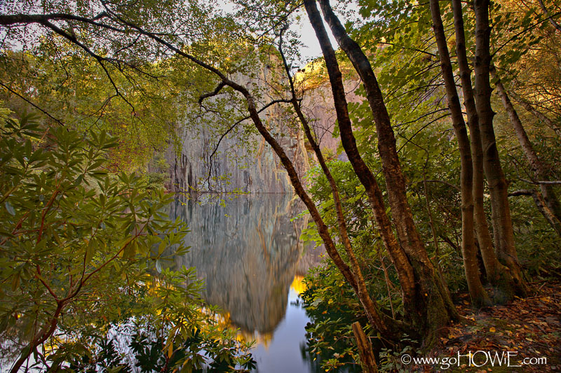 Trees and quarry lake, Llanberis, Snowdonia