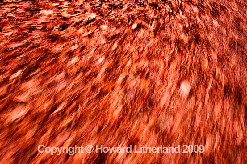 Autumn leaves with motion blur