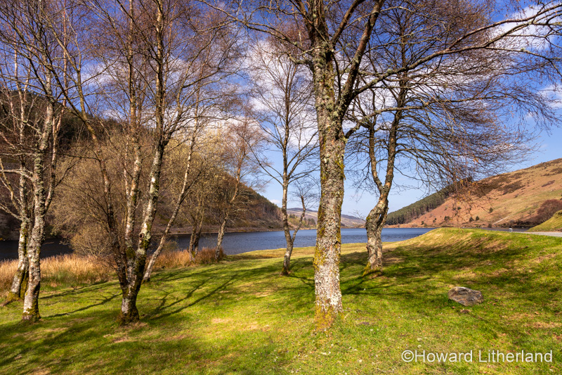 Llyn Geirionydd in the Snowdonia National Park, North Wales