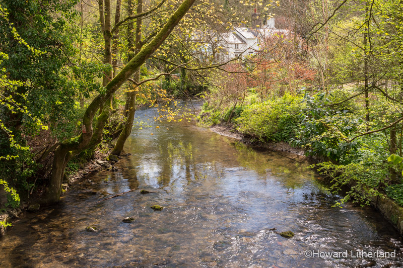 Cottage and tree lined river at Loggerheads Country Park, North Wales