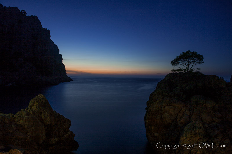 Cliffs and lone tree at dusk, sa Calobra, Mallorca