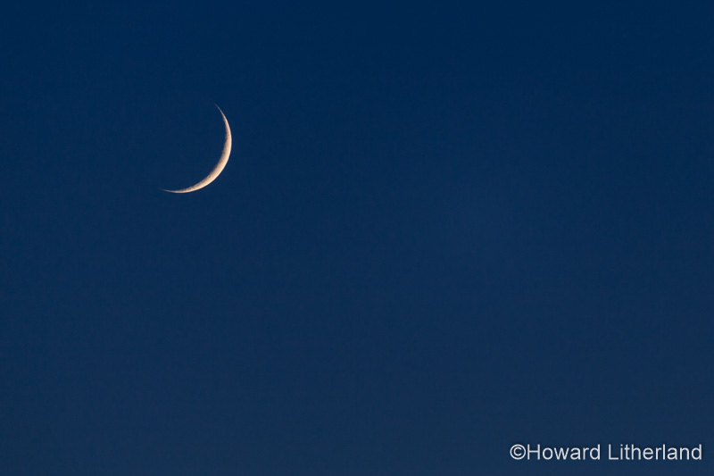 Crescent moon in a clear blue sky at dusk