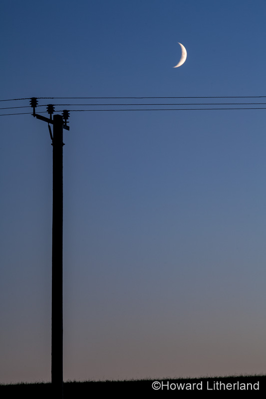 Crescent moon and telegraph pole at dusk