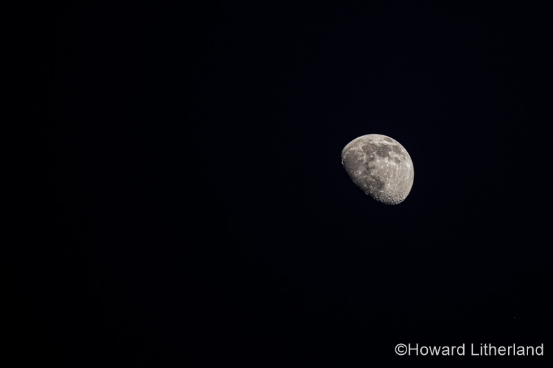 Gibbous moon against a black night sky