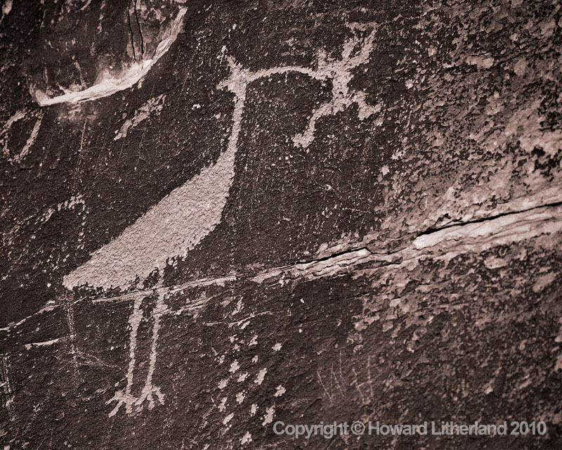 Petroglyph, Painted Desert, Arizona
