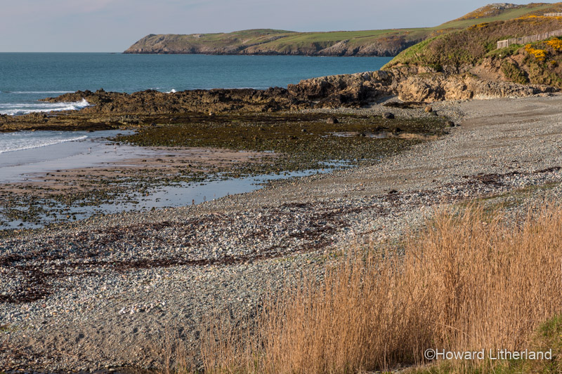 Pebble beach at Porth Trwyn, Anglesey, North Wales