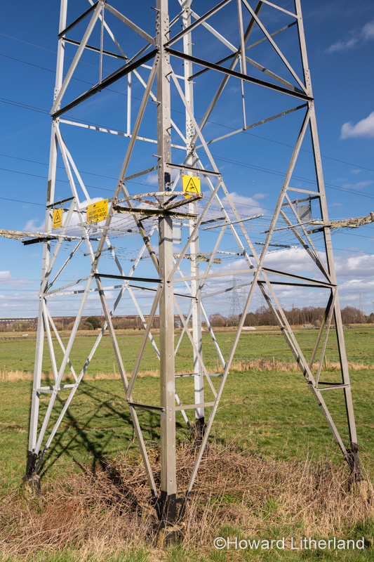 High voltage electricity pylon in sunlight