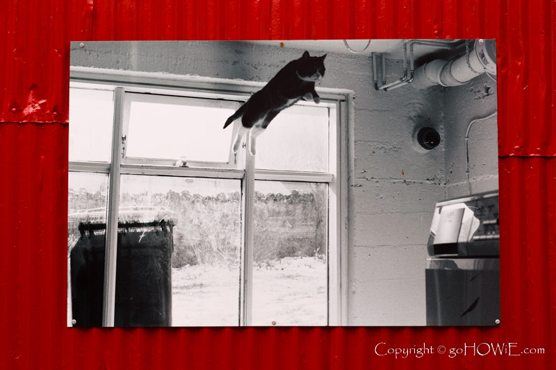 Street art on display in Reykjavik, Iceland