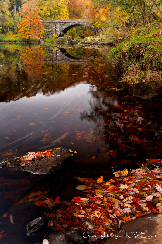Autumn colours, bridge and fallen leaves on the banks of the river Conwy near Betws-y-Coed in the Snowdonia National Park, North Wales