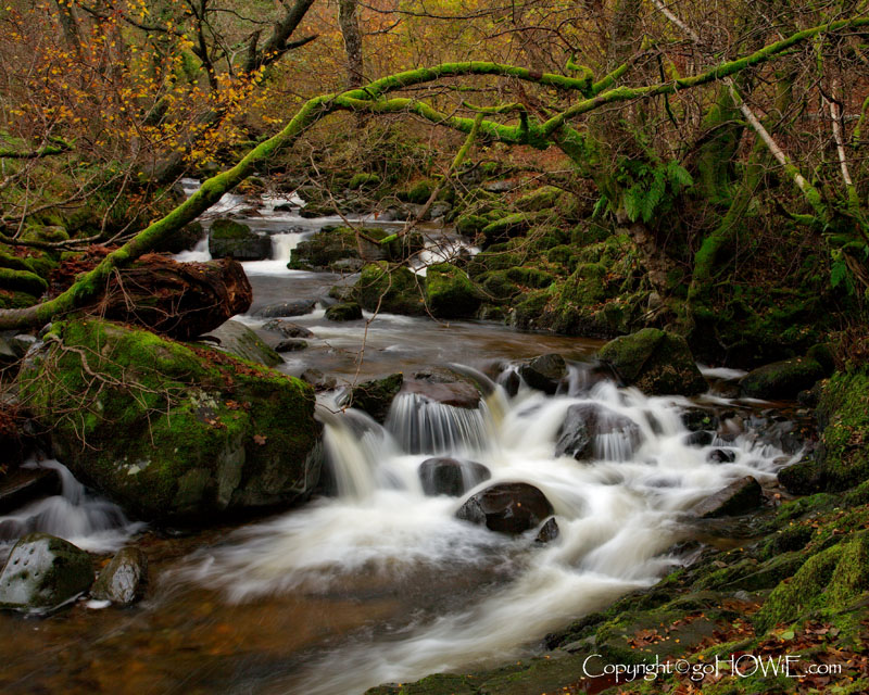 Autumn trees and river, Aira Force, Ullswater, Lake District