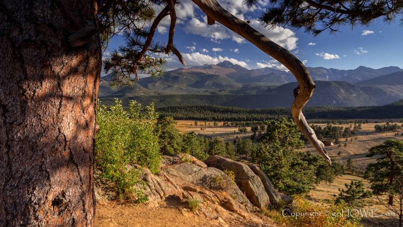 Rocky Mountains viewed from behind a tree on the Trail Ridge Road in the Rocky Mountain National Park, Colorado, U.S.A.