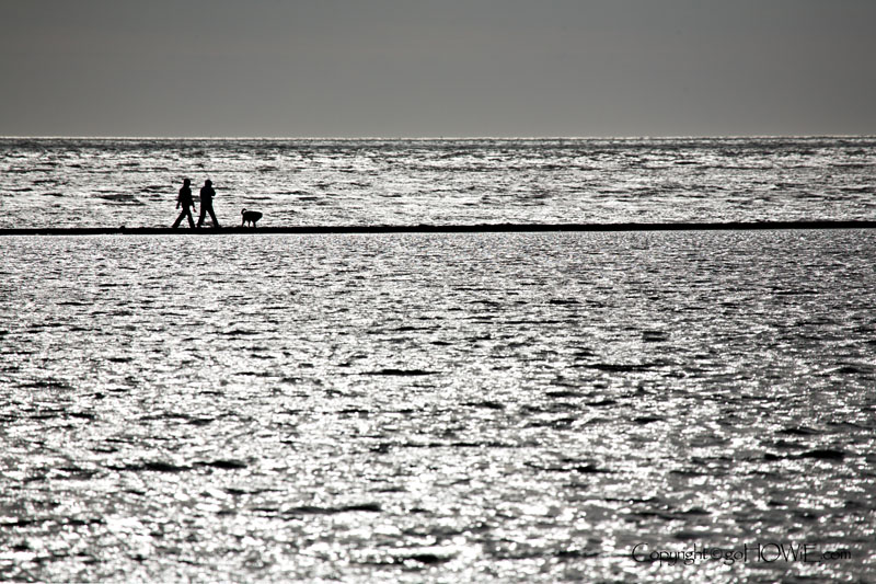 Two people and a dog walking around the Marine Lake, West Kirby, Wirral