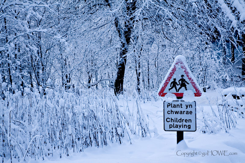 Road sign nearly buried in snow, Clocaenog forest, North Wales