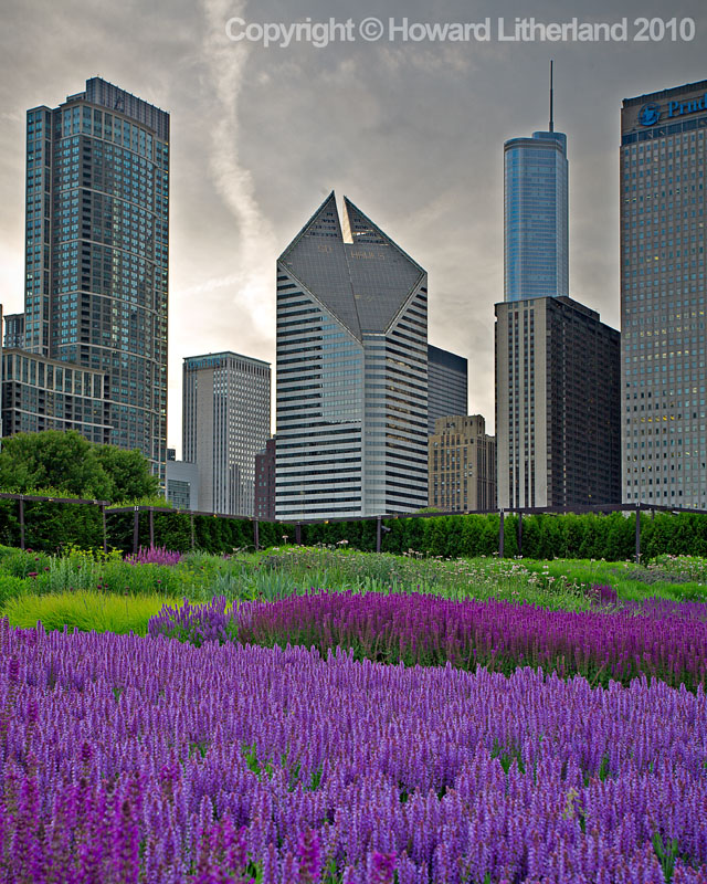 Skyscraper and flowers, Chicago