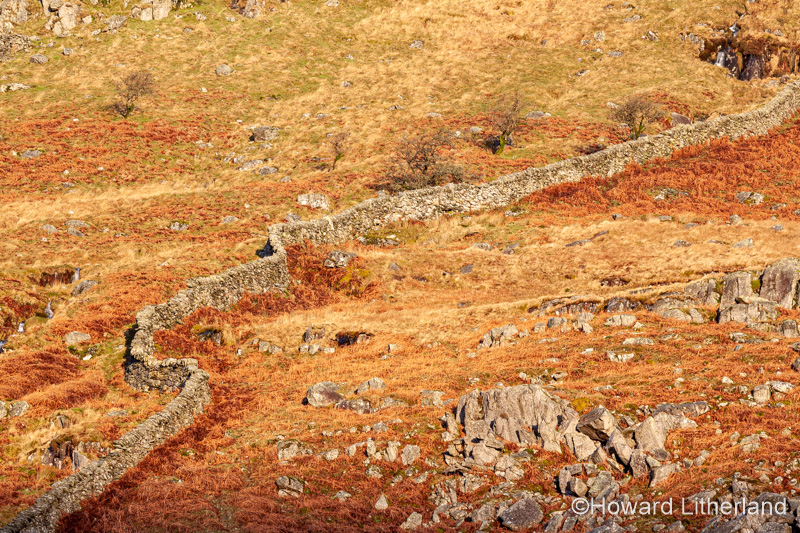 Drystone wall in sunlight, Snowdonia, North Wales