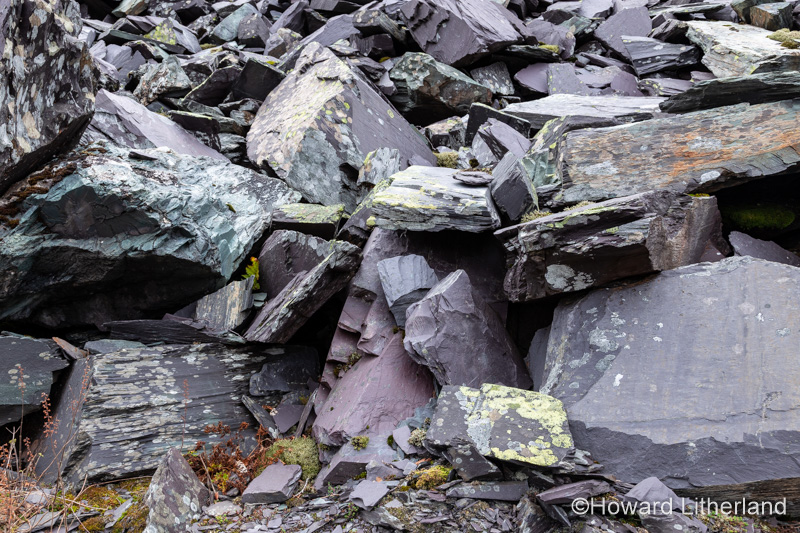 Old slate spoil with lichen, Snowdonia, North Wales