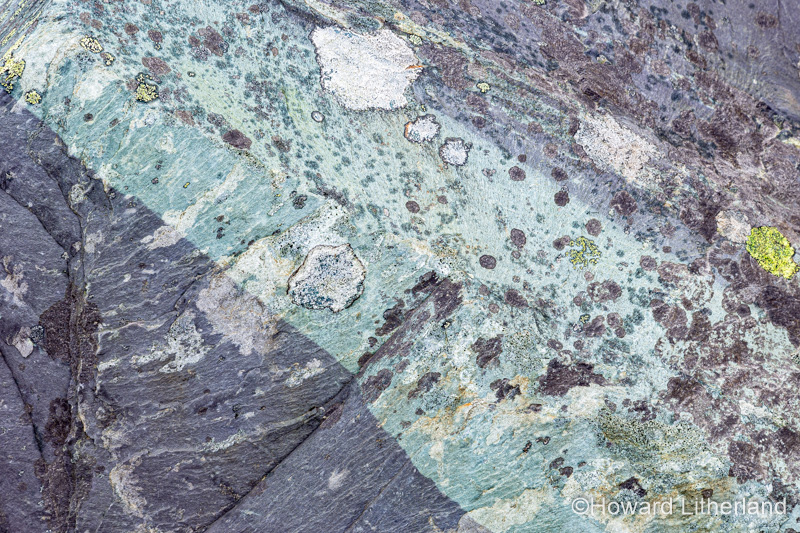 Old slate spoil with lichen, Snowdonia, North Wales